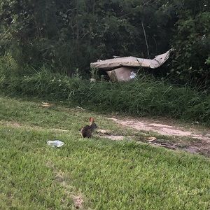 Meet your Posher, Valerie